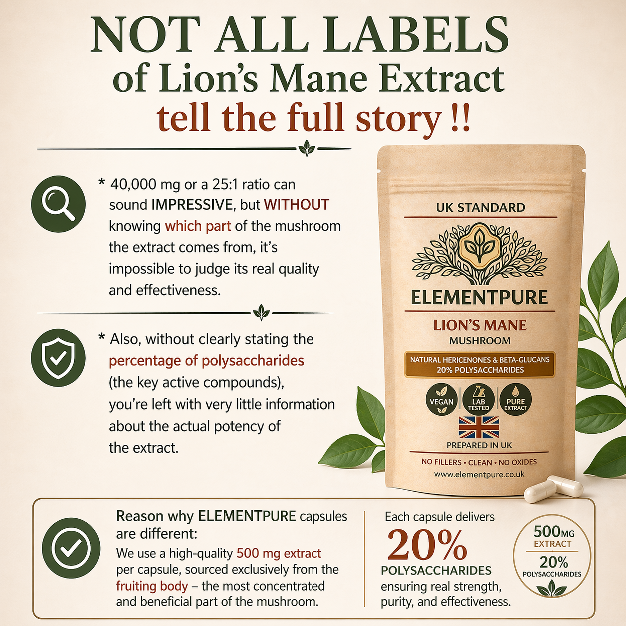 Lion's Mane Mushroom - Premium Grade, Fruit Body Extract - 500 mg Capsules (20% POLYSACCHARIDES!)60 capsules/pack - Image 2